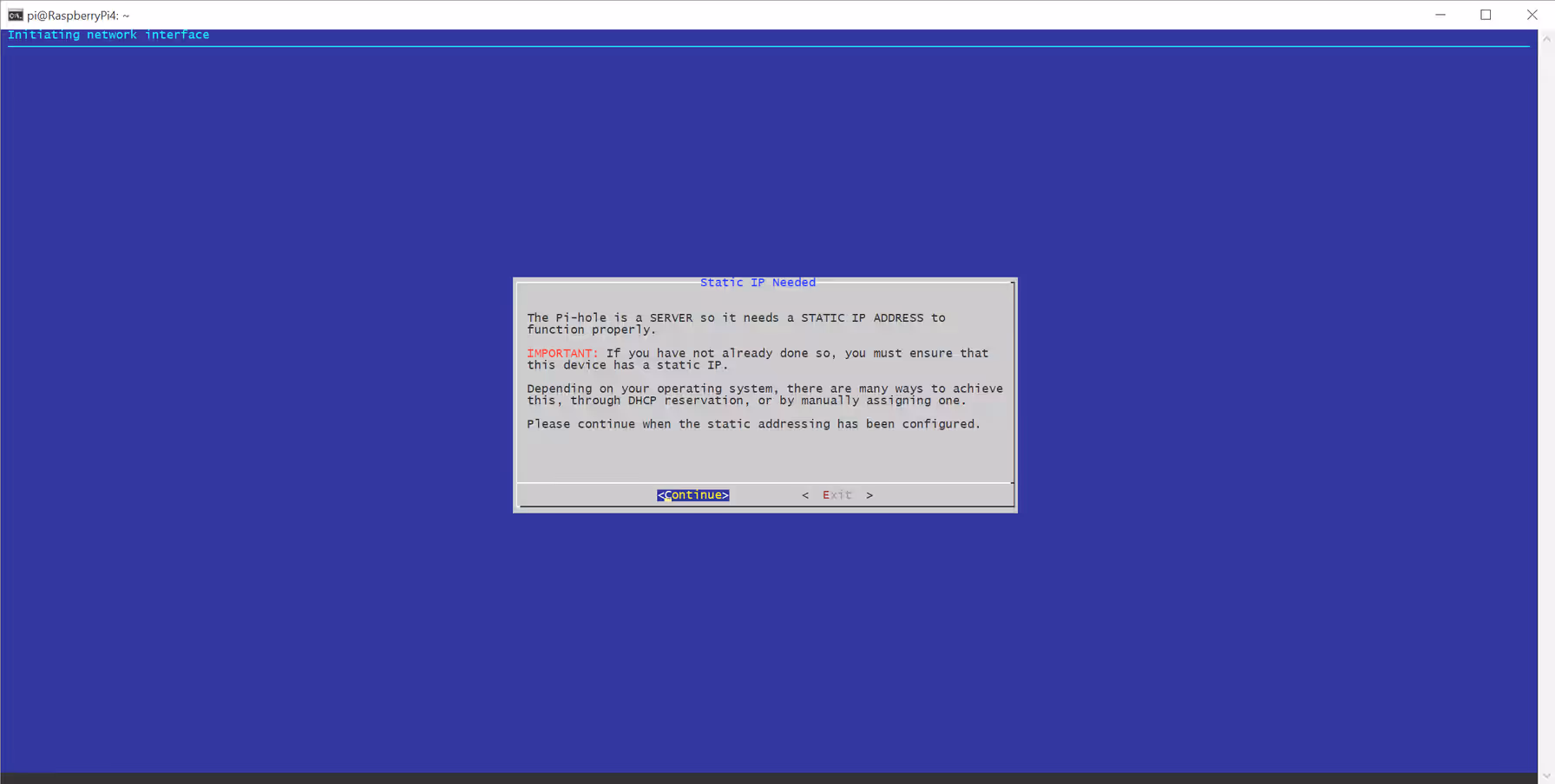 Pi-hole installer interface selection